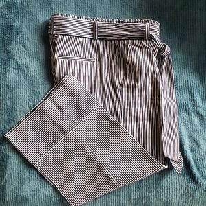 Banana Republic Cropped Paperbag Waist Pant